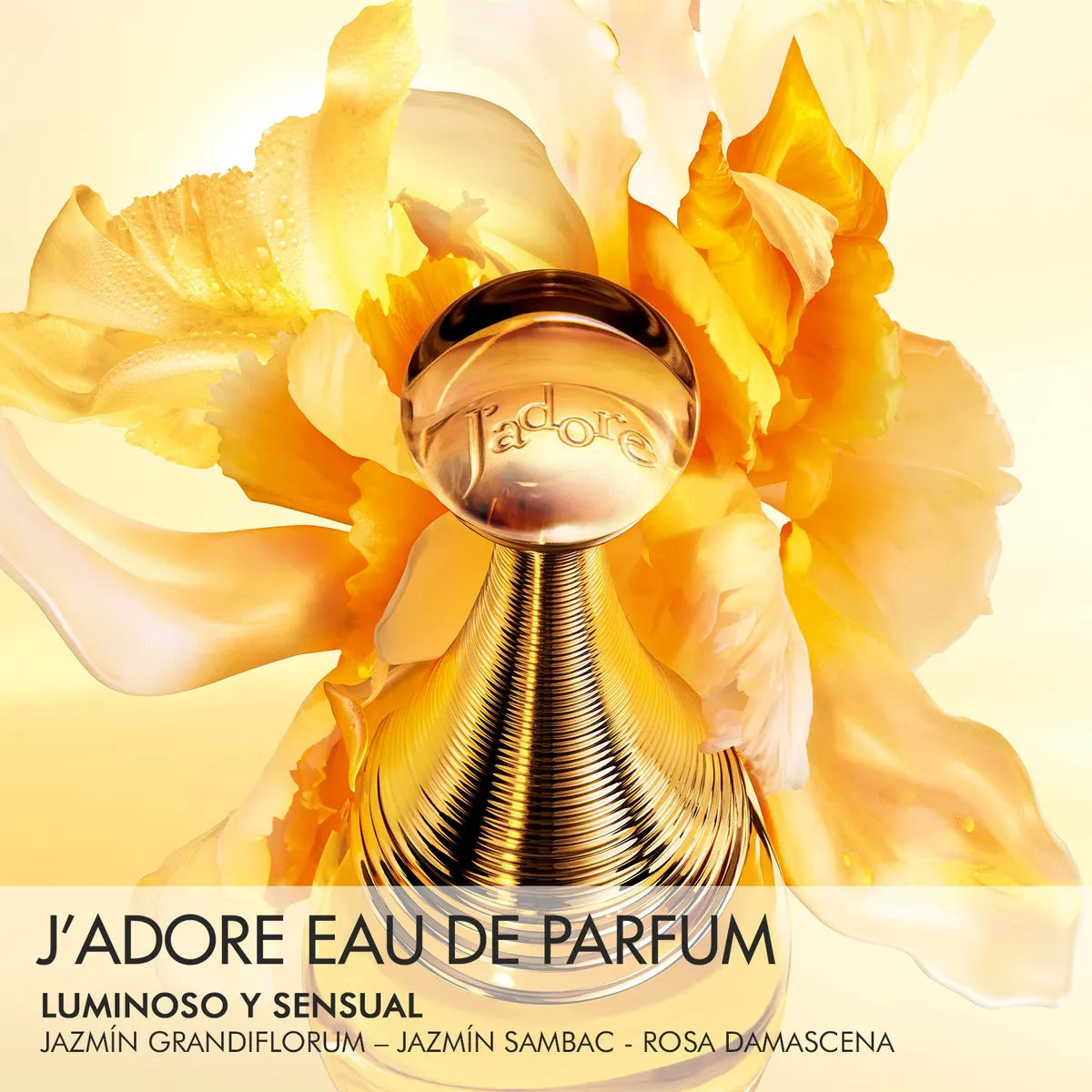 Set de Regalo J'adore – Edición Limitada
