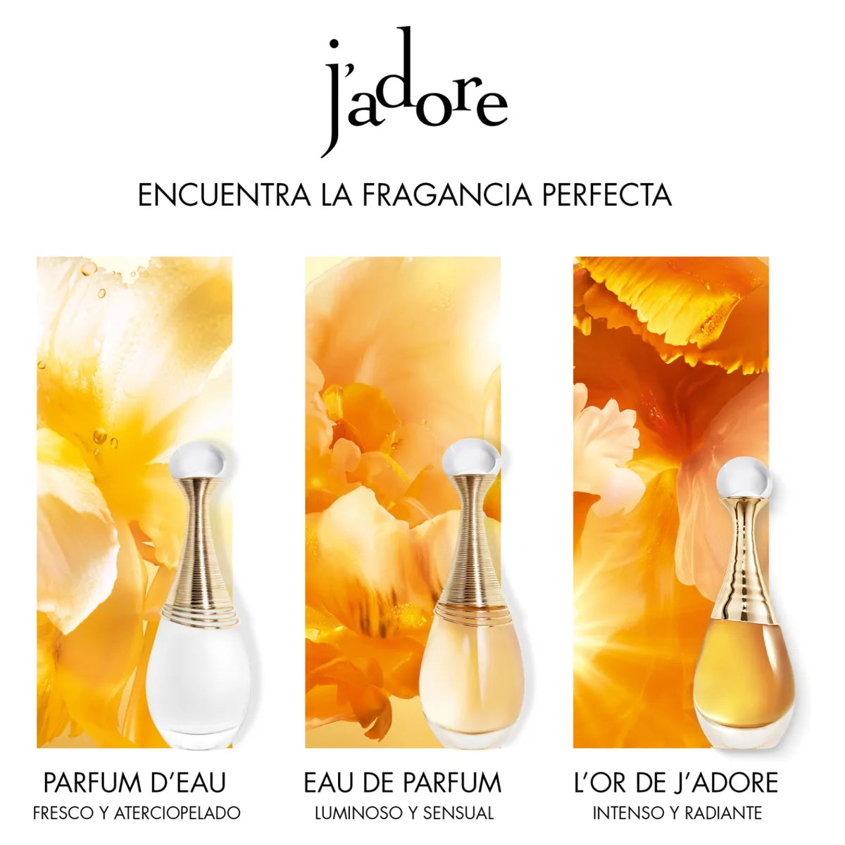 Set de Regalo J'adore – Edición Limitada