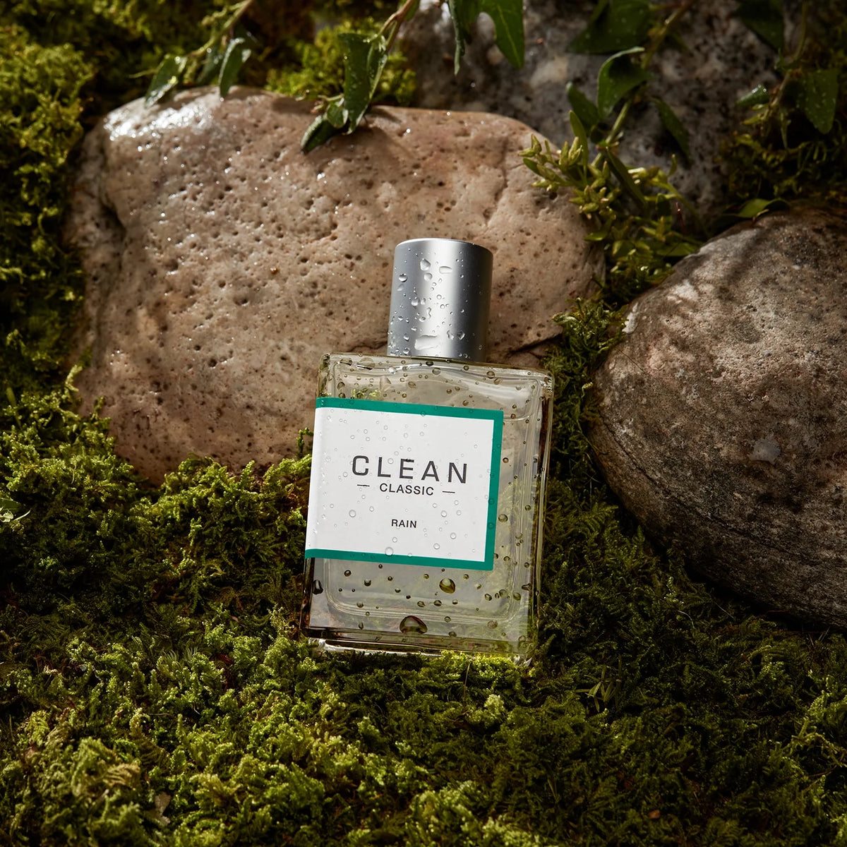 Perfume Rain — CLEAN