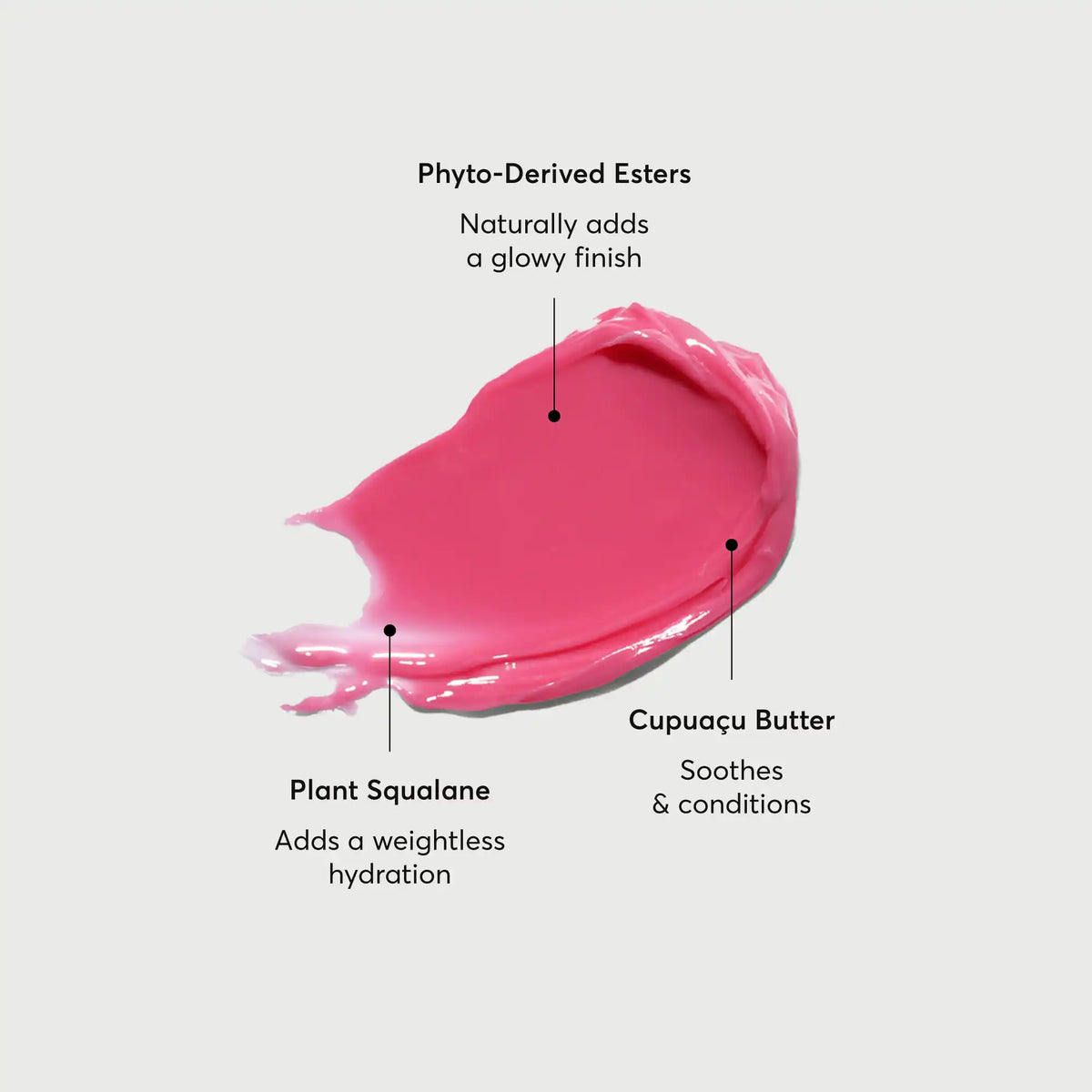 Phyto-Glow Lip Bálsamo Camellia — Naturium