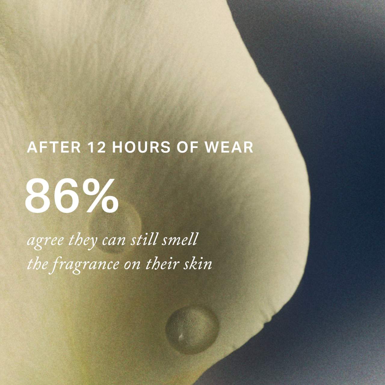 Retrospect™ L'Extrait de Parfum — MERIT