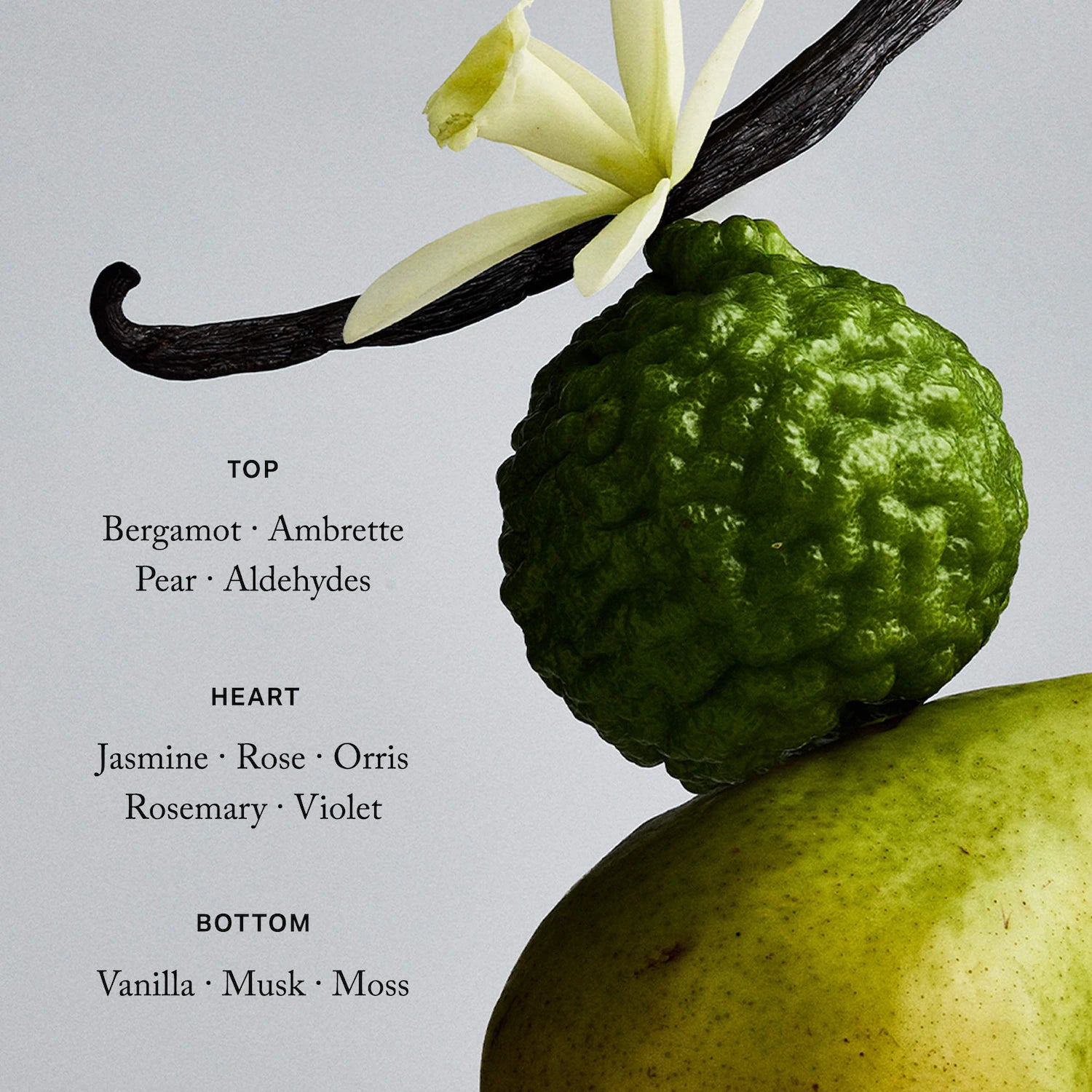 Retrospect™ L'Extrait de Parfum — MERIT