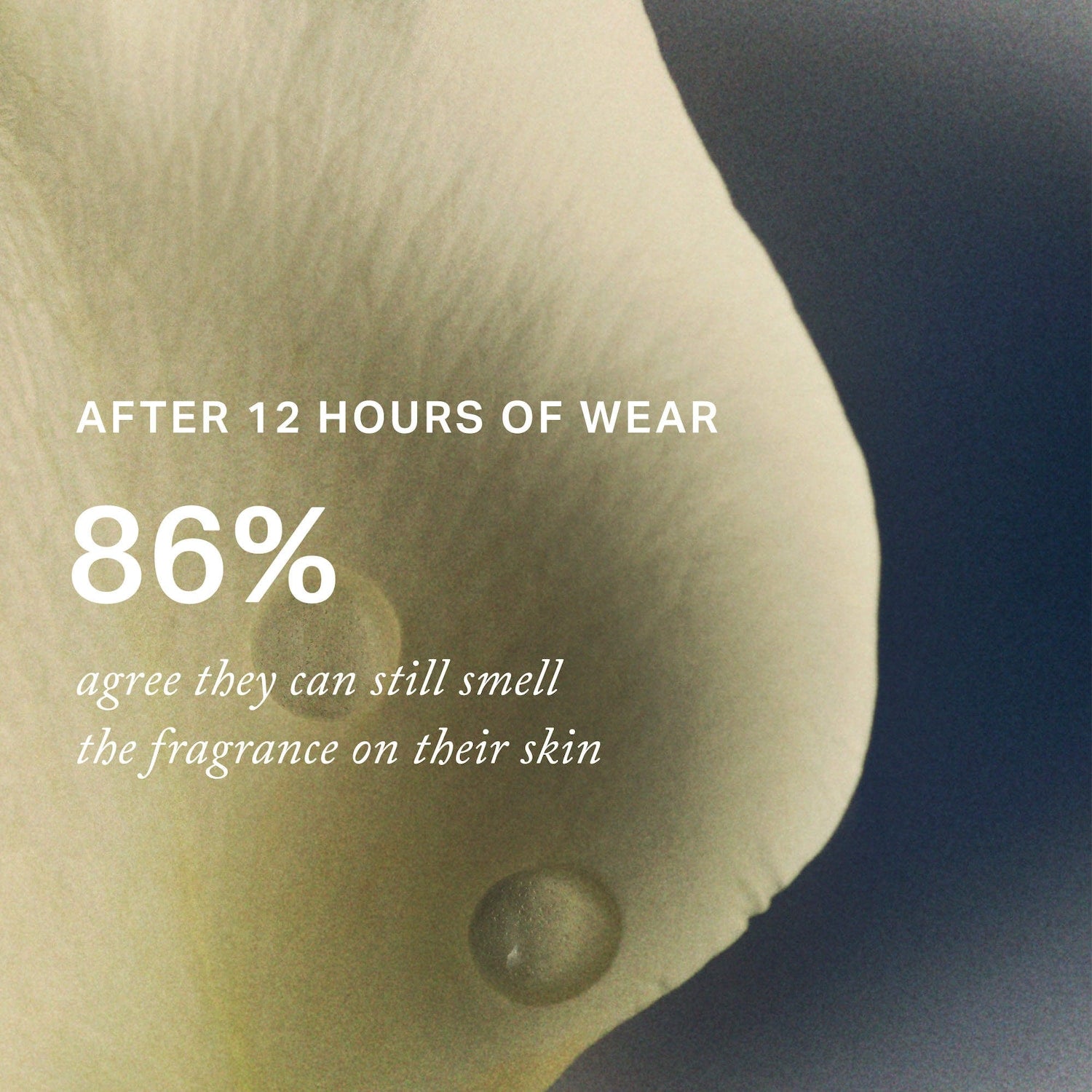 Retrospect™ L'Extrait de Parfum — MERIT