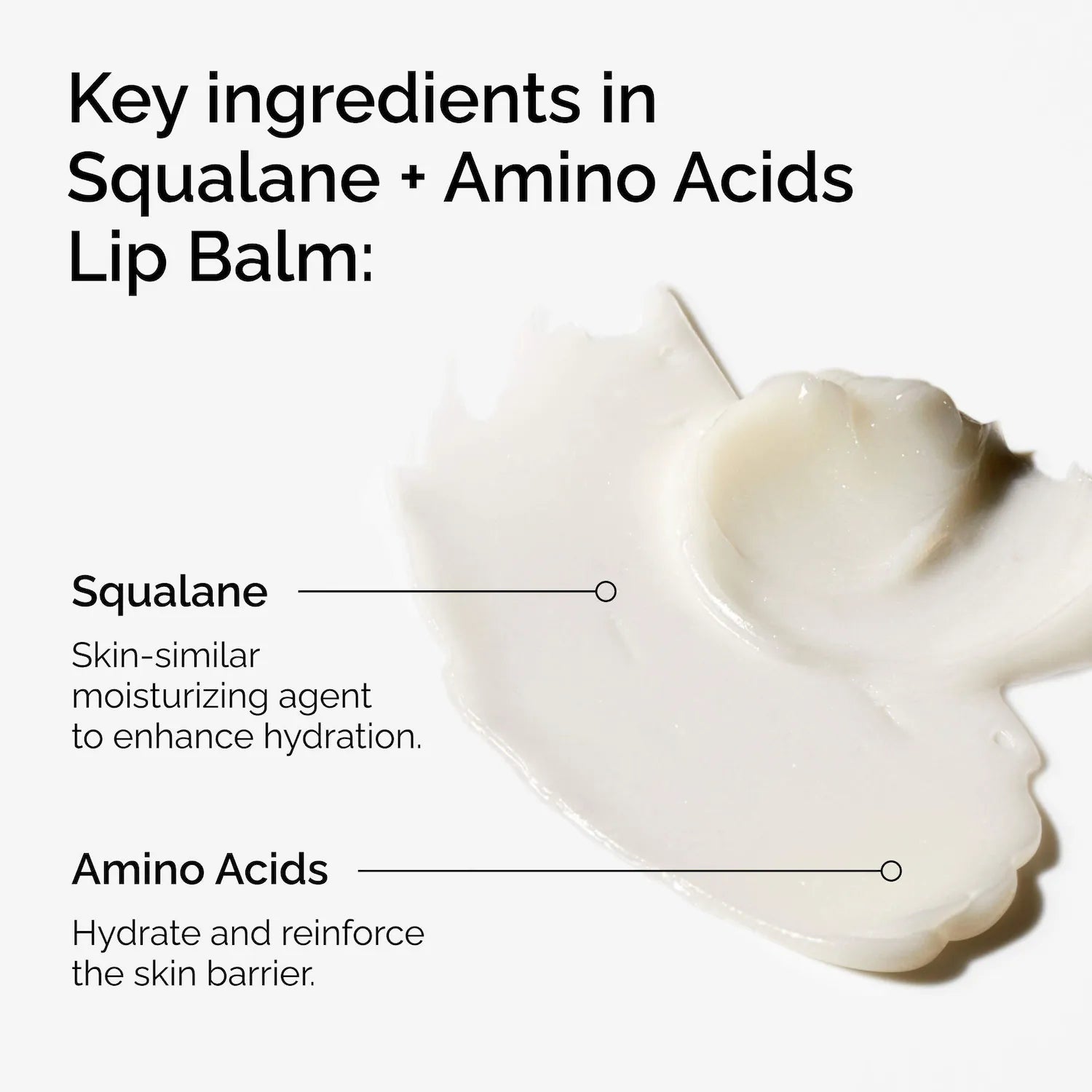 Bálsamo labial hidratante con escualano + aminoácidos, para labios, codos y cutículas — The Ordinary