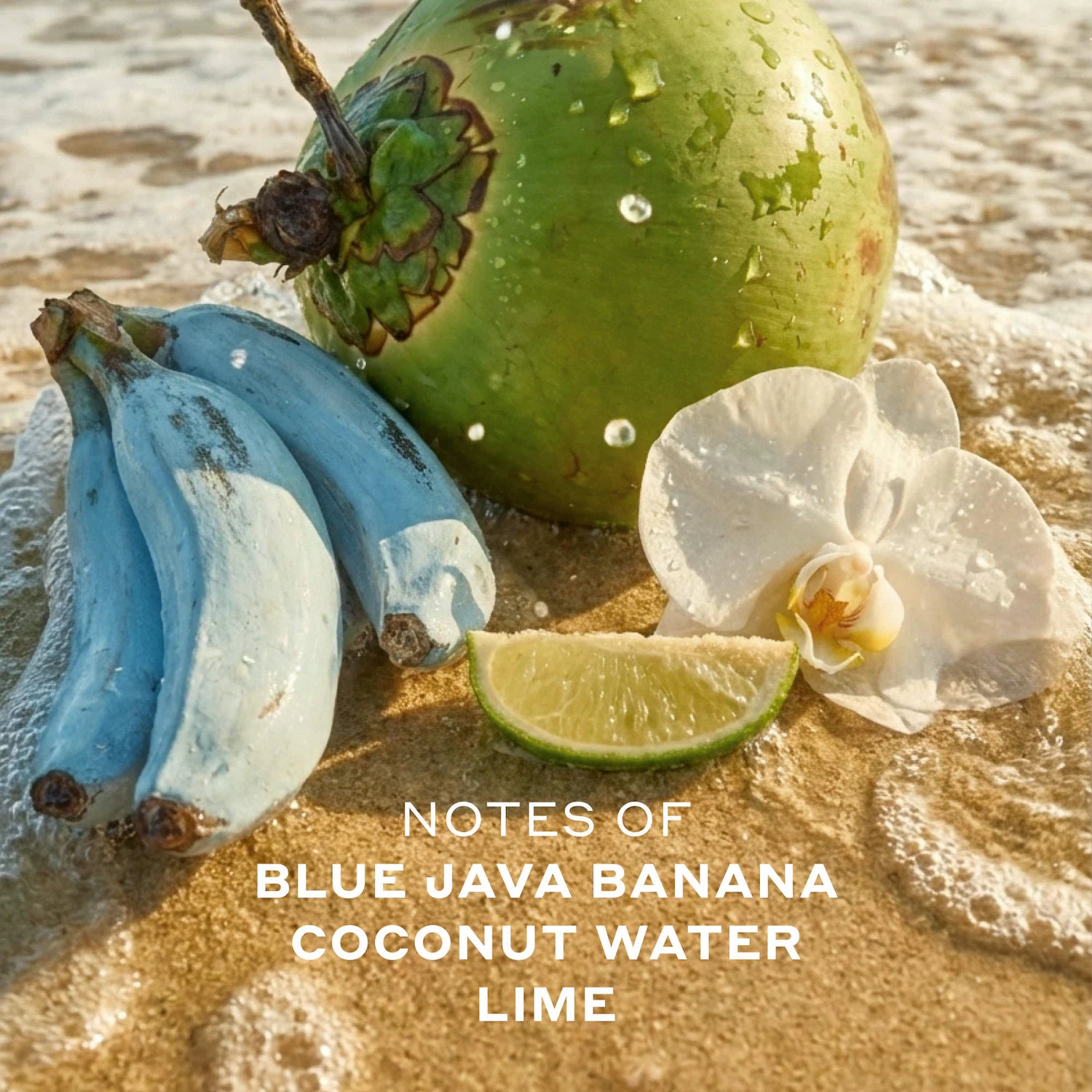 ISLA SIRENA Eau de Parfum con spray de viaje de coco y lima — Ellis Brooklyn
