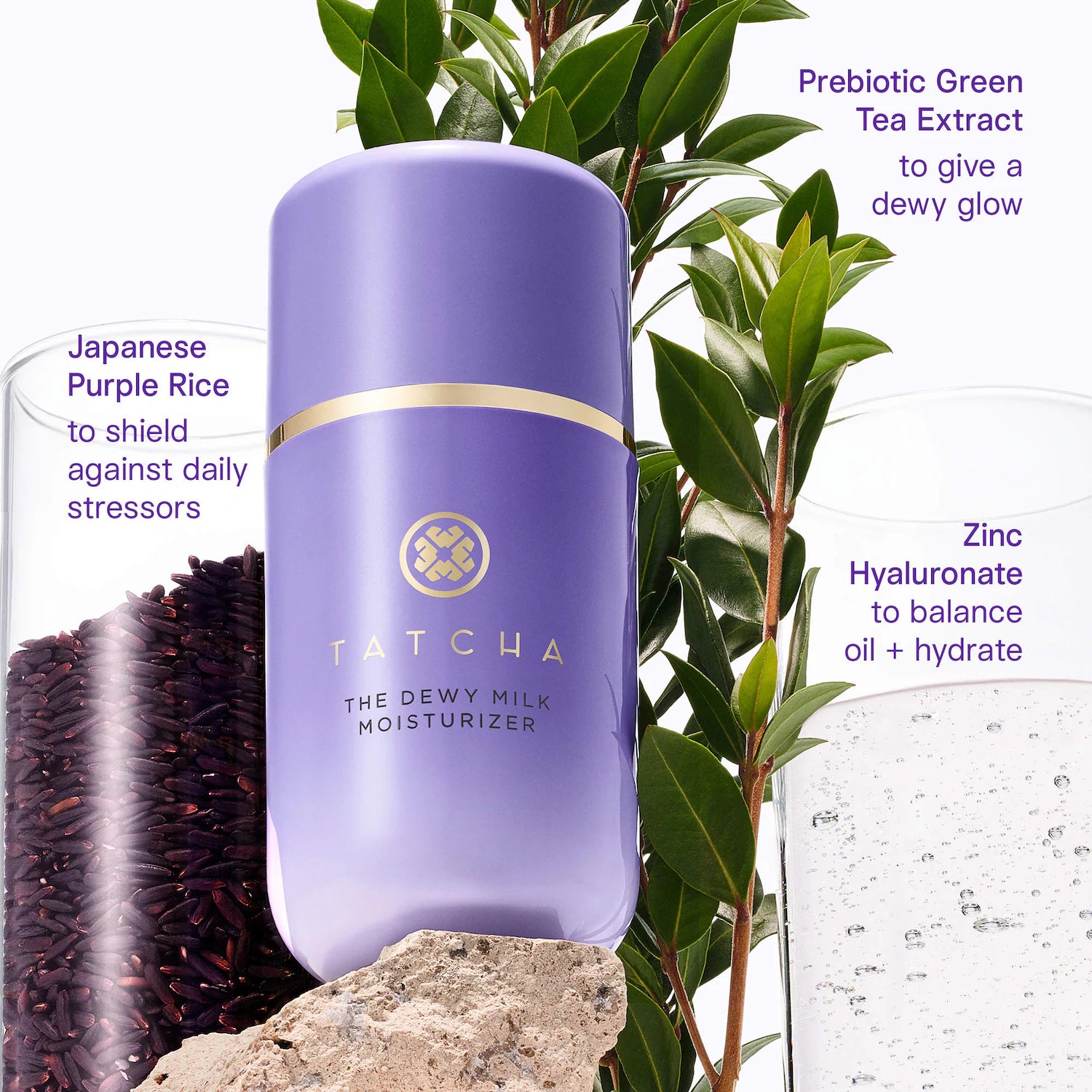 Hidratante de leche húmeda — Tatcha
