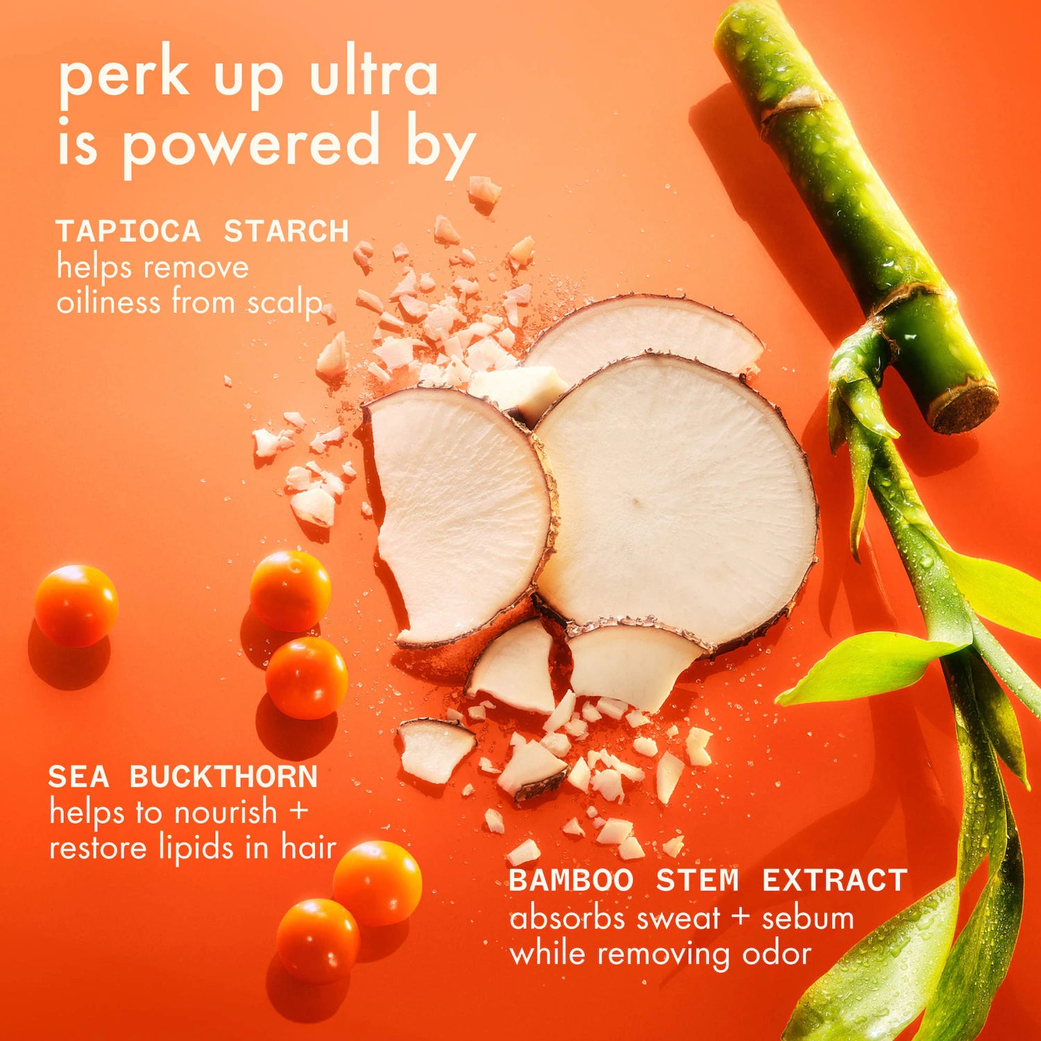 Champú seco Perk Up Ultra Oil Control — amika