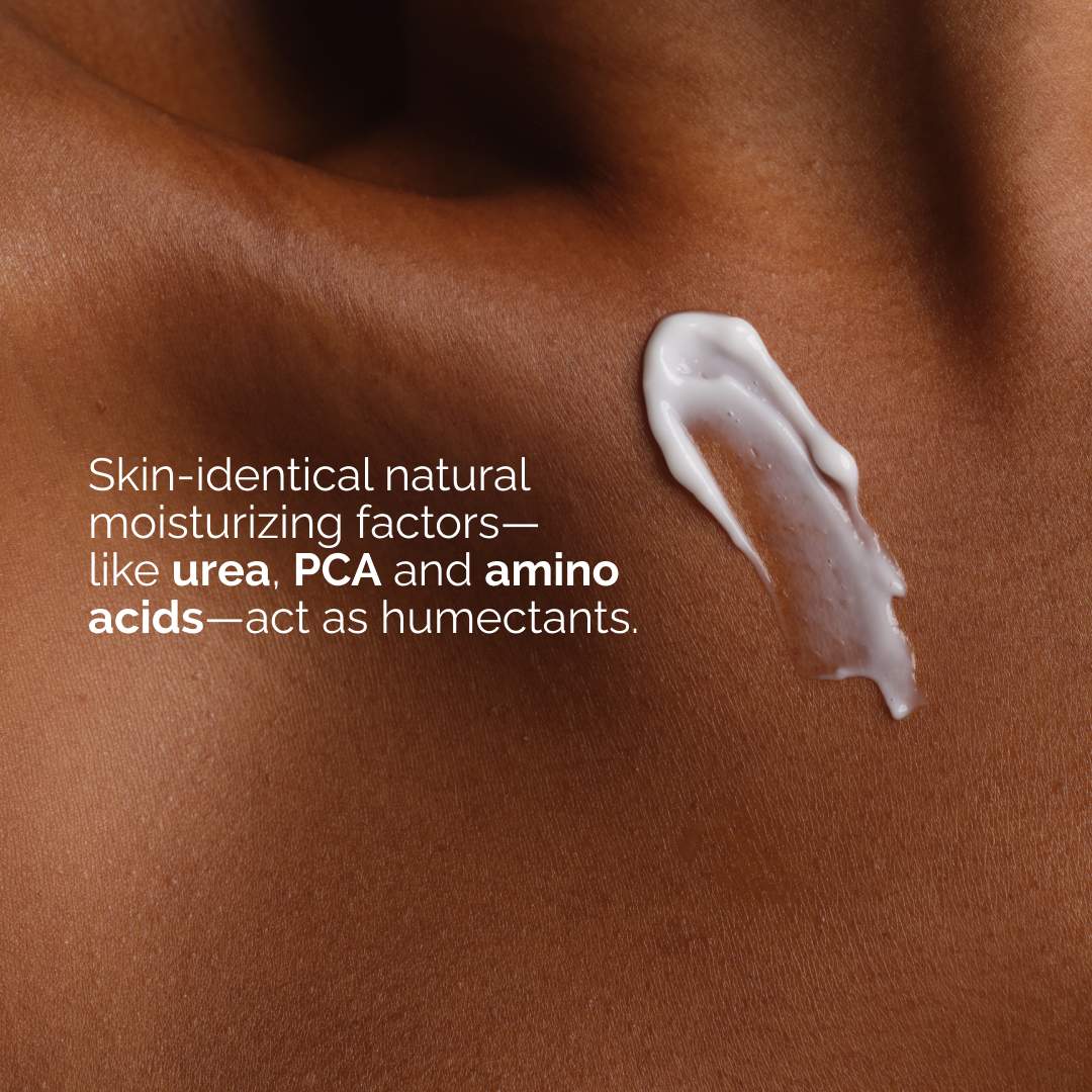 Factores Hidratantes Naturales + Loción Corporal de Inulina — The Ordinary