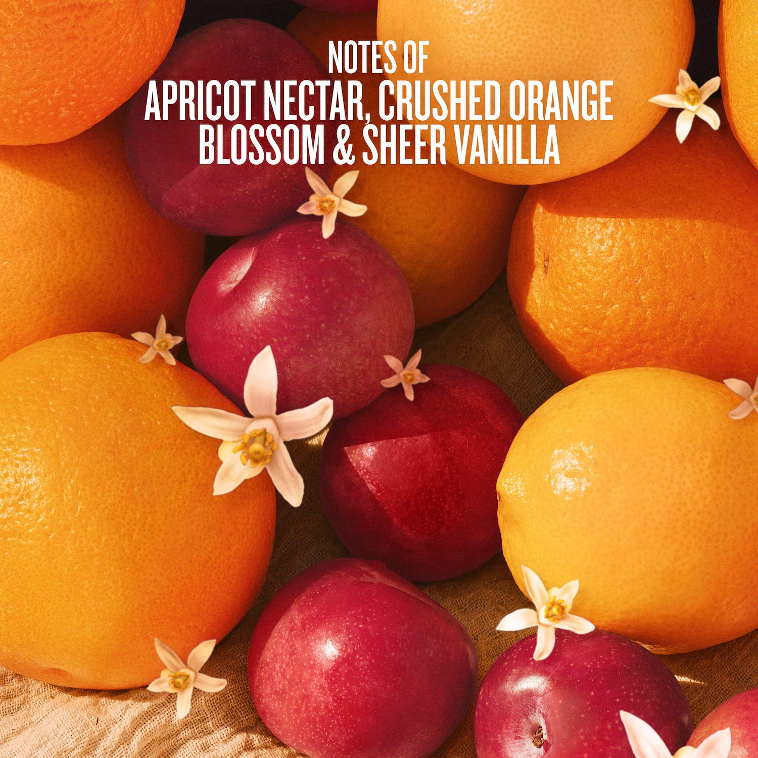 Bruma de perfume para cabello y cuerpo Cheeky Biquíni — Sol de Janeiro