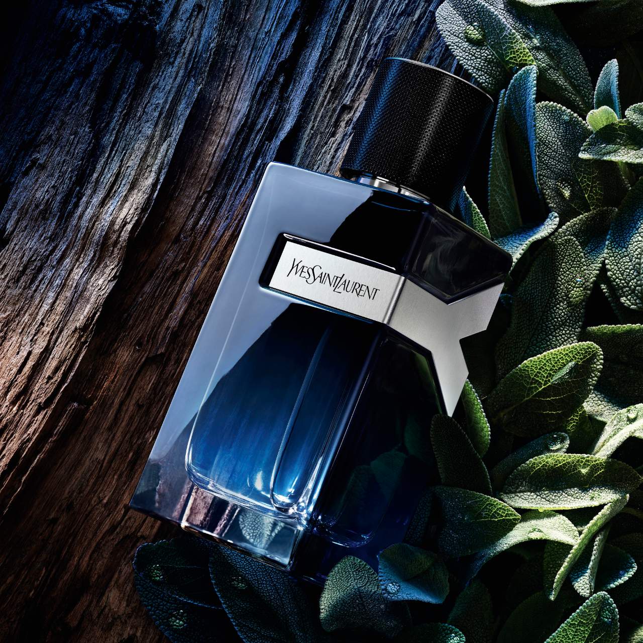 Y Eau de Parfum con Geranio Fresco y Maderas Sensuales — Yves Saint Laurent