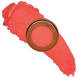 Polvo Difuminador Yummy Skin Flushed - Color Mate para Mejillas y Labios — Danessa Myricks